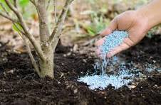 Nitrogen Fertilizer