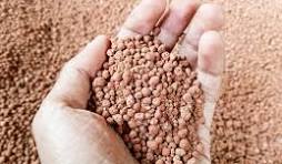 Potassium Fertilizer