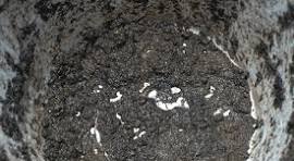 Municipal Sludge